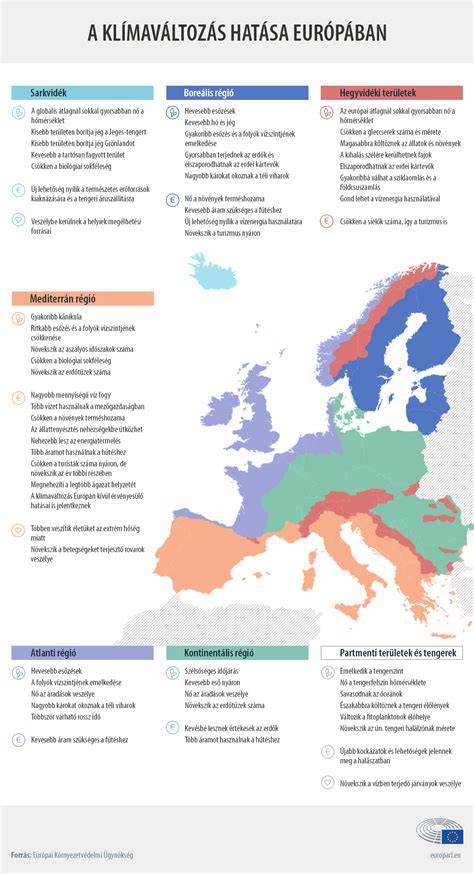 Infografika: Európai vs Ázsiai póthaj összehasonlítás