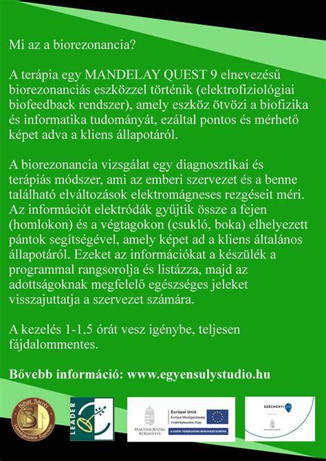 Állapotfelmérés és felhasználási útmutató diagram