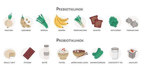 Infografika a probiotikumok és prebiotikumok hatásáról a bélflórára, valamint a szőrtelenítés módszereiről és azok előnyeiről-hátrányairól