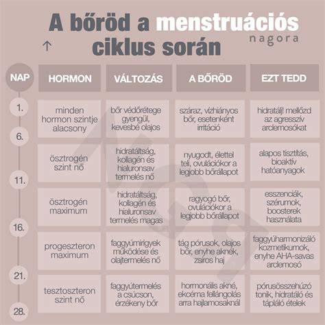 Infografika: a menstruációs ciklus áttekintése