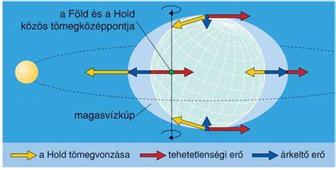 Ábra: közti vérzés okai és elhelyezkedése