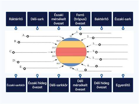 Diagram: miómák és polipok elhelyezkedése a méhben