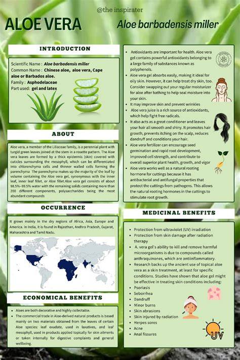 aloe vera hatasmechanizmus infographic