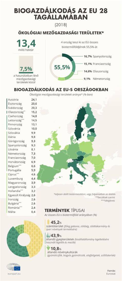 Infografika: Fodrászatok Nagykanizsán - főbb szolgáltatások és elérhetőségek
