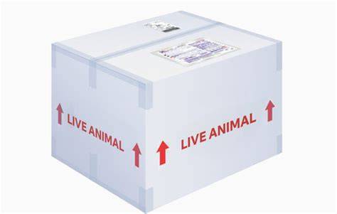 Chart of live animal shipments on ships