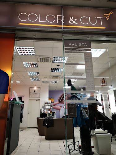 Color&Cut Dunakeszi fodrász szalon belső képe és fodrász csapat