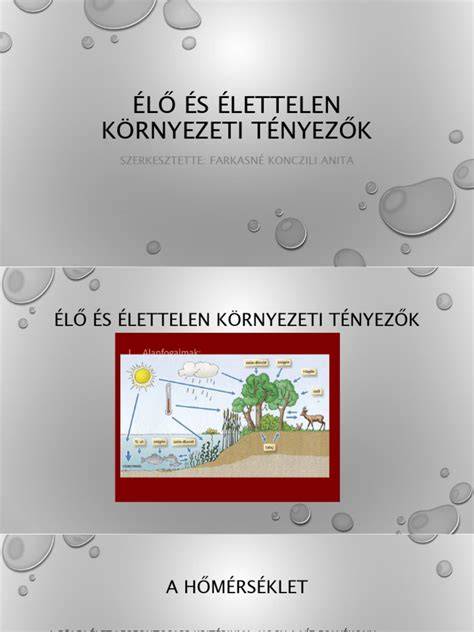 Infografika: Árképzési modellek és tényezők