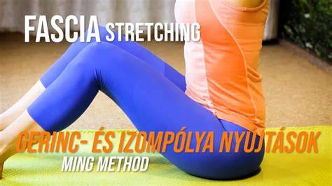 Izompólya és fascia vizuális összefüggések