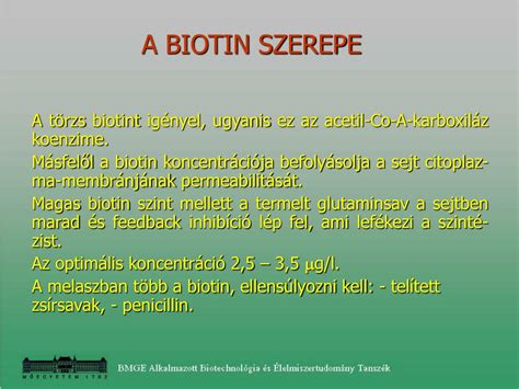 A biotin szerepe a szervezetben