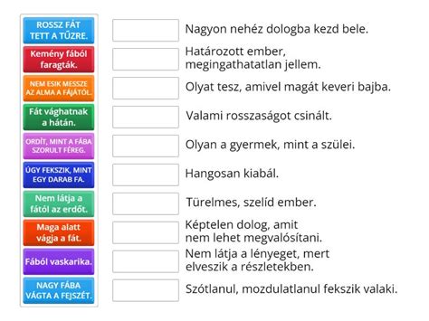 Vízfelszíni elszíneződések és jelentésük