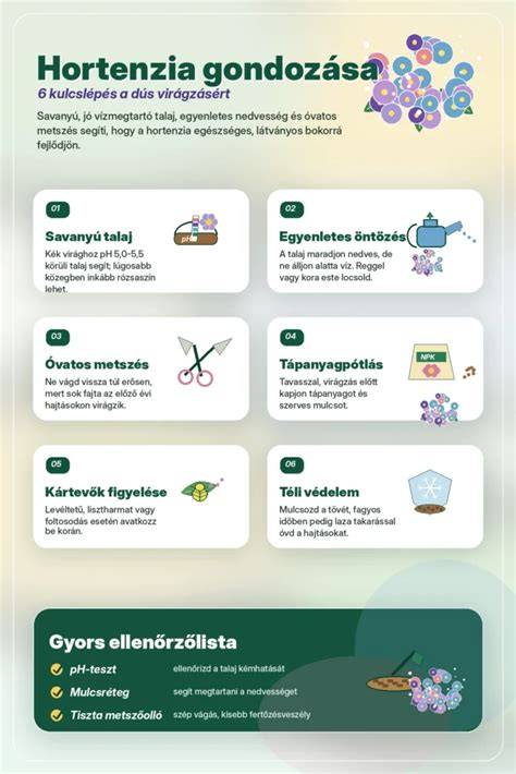 Infografika: tippek a tinédzserkori hajvágások kiválasztásához