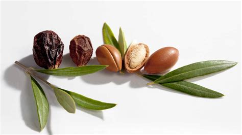 Bio argánolaj és jojobaolaj összetevők