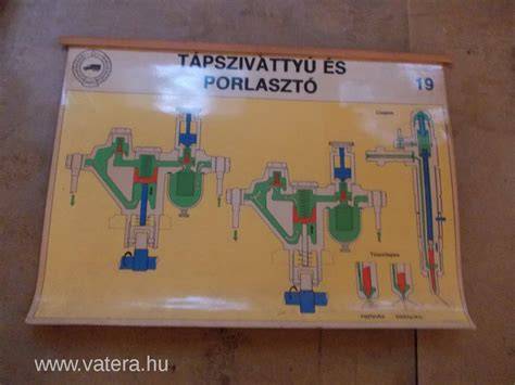 Keresztmetszetek és hosszváltozatok szemléltető diagram