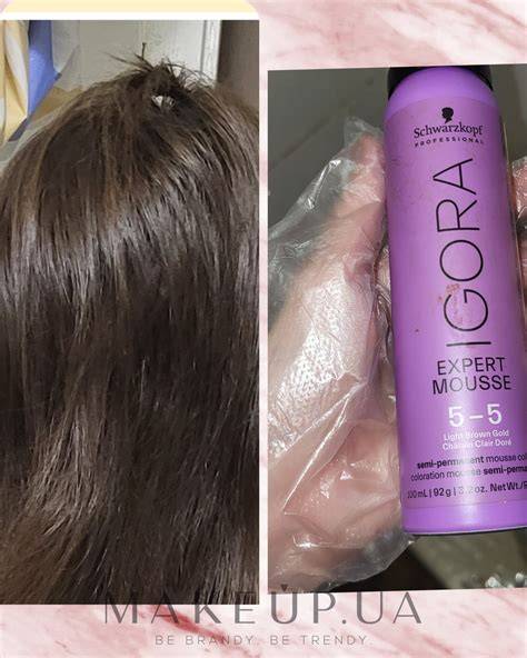 Infografika: Igora Expert Mousse összetevői és lépésről lépésre történő felvitele