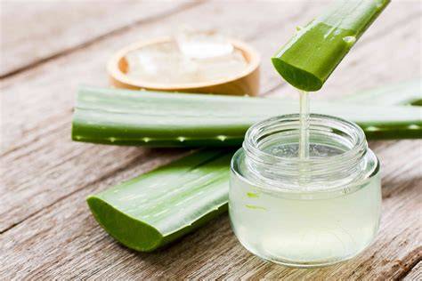 aloe_vera_levél_gél.jpg