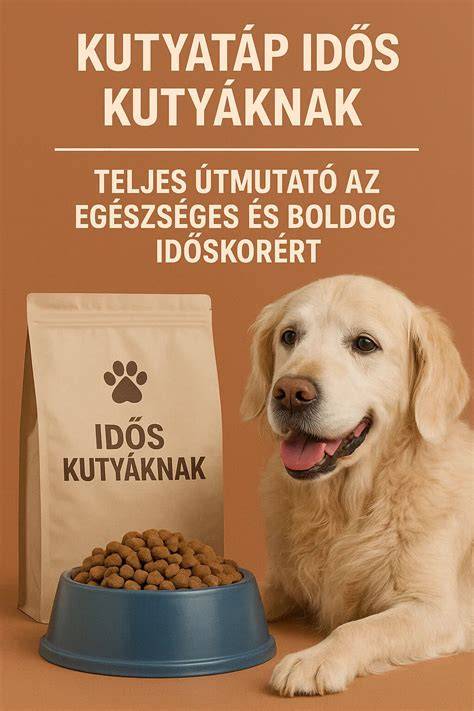 Infografika: Kutyás sampon választási útmutató idős kutyáknak
