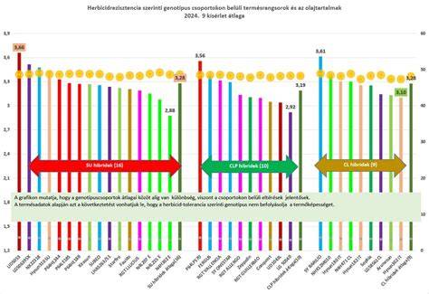 Hajfelhelyezés és póthaj lehetőségek grafikon