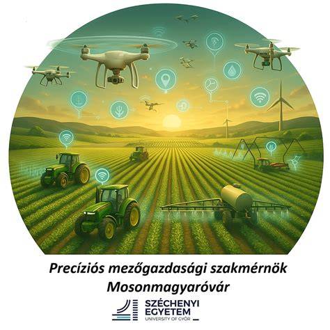 precíziós hajvágó grafika