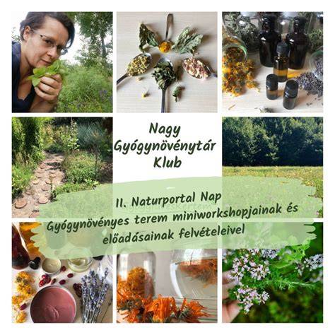 Természetes hajfestés útmutató: hennák és gyógynövények