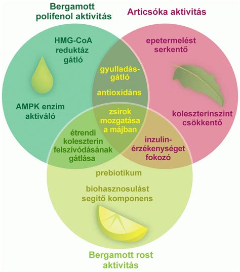 Infografika: arcformák és optimális frizura-típusok