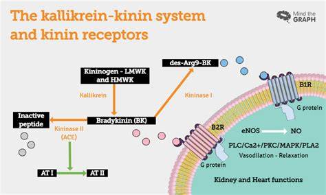 Kinin Forte hajmaszk infographic