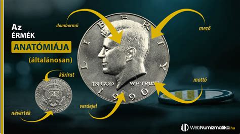 Szakálladó érmék