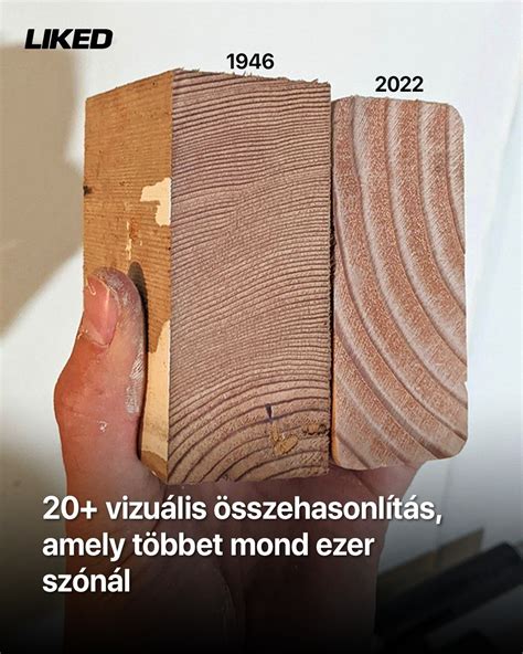 Szemöldökvágás vizuális összehasonlítás