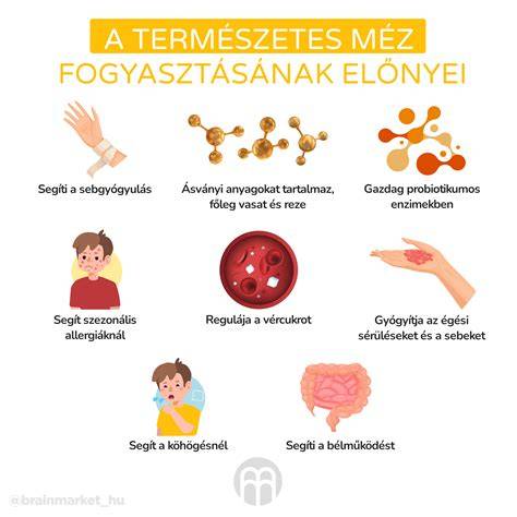 Infografika: Hogyan válasszunk fodrász ollót - anyagok, élezés, ergonómia