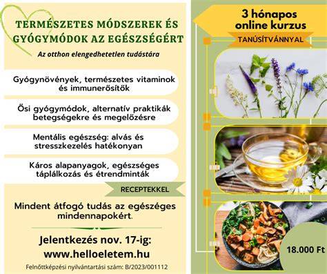 Infografika: Természetes hajfestési módszerek