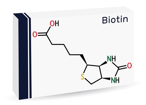 Biotin molekula szerkezete