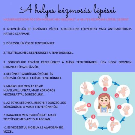 A helyes hajmosás lépései