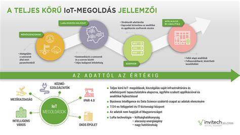 Infografika: Szolnoki szolgáltatások hálózata