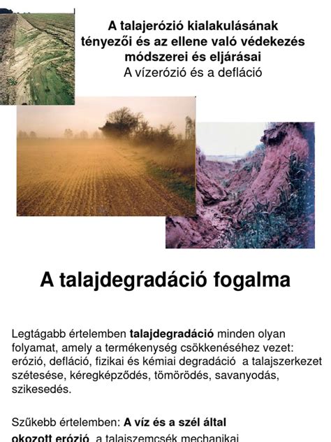 Szemléltető ábra a haj kefélésének helyes irányáról