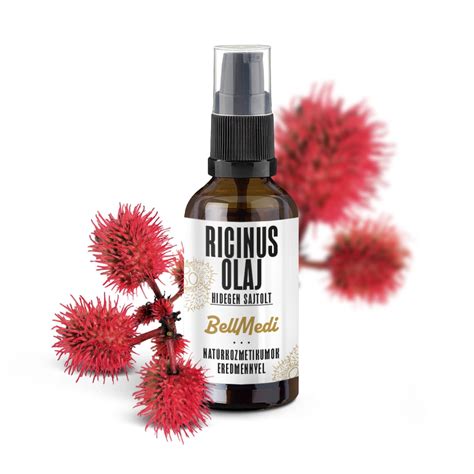 Ricinus magok és olaj