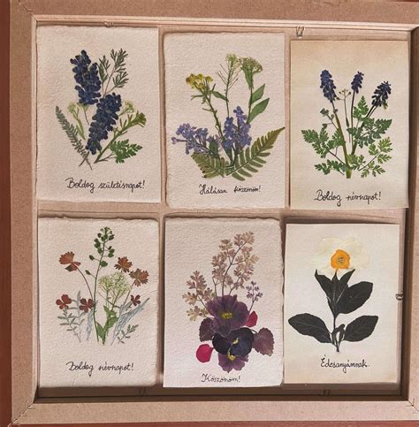 Üveglapokba préselt virágok