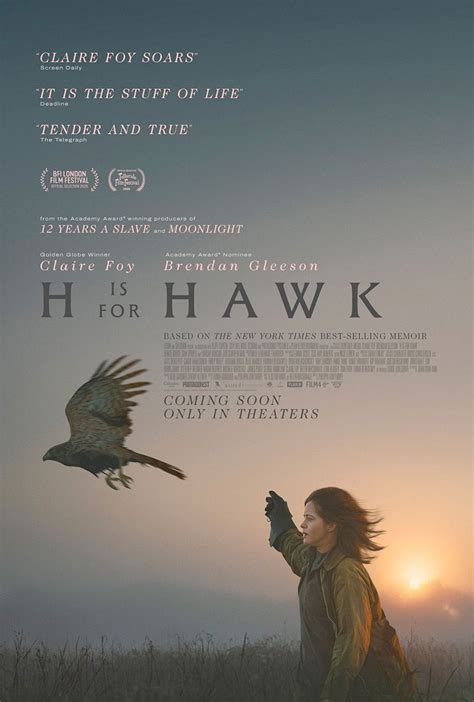 H Hawk dizájnkoncepció és részletek