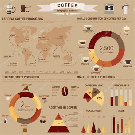 vizualis elrendezés infographic hajformázó