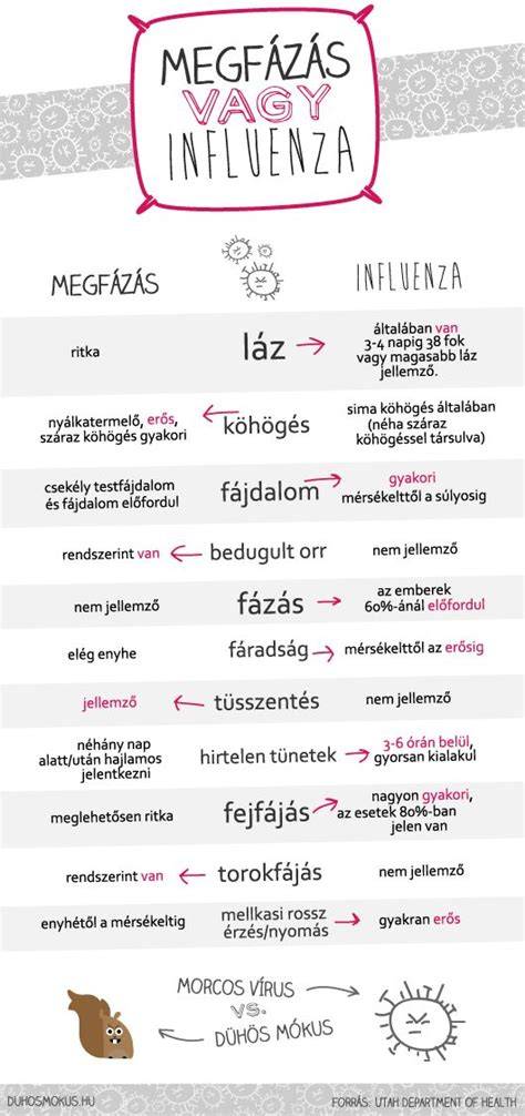 fejbőrAllergiaS tünetek infografika