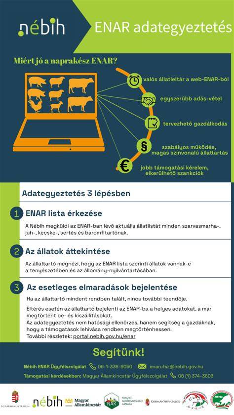 Infografika: endometriózisról szóló tájékoztató