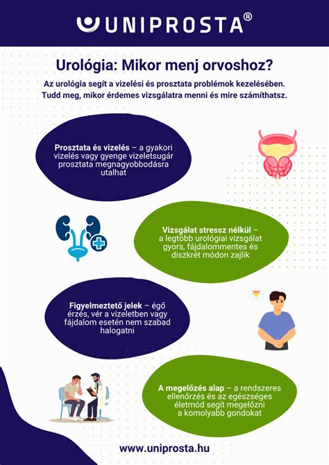 Infografika: Hogyan cseréljünk borotvafejet és mikor