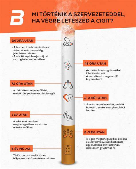Infografika: Hogyan történik a hajnyíró fej cseréje