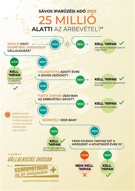 Átfogó vizuális áttekintést adó infografika: különböző hajcsat- és hajgumi típusok bemutatása