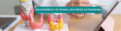 pajzsmirigy anatómiai rajza