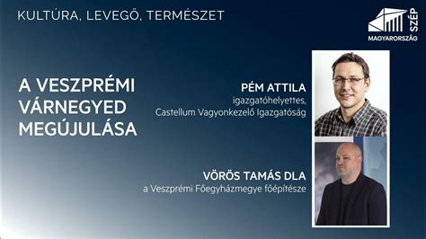 Vörös Tamás előadása