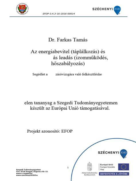energiabevitel és aktivitás grafikon