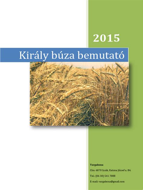 királybúza mező