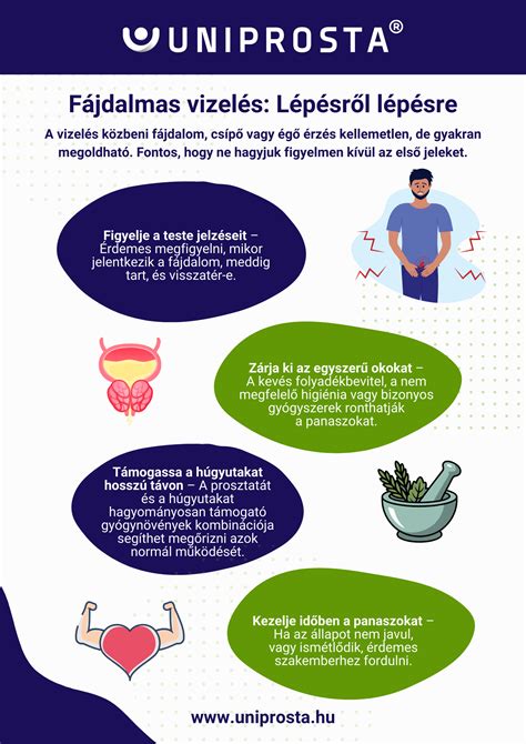 Infografika: Hajápolási lépések és hatóanyagok áttekintése