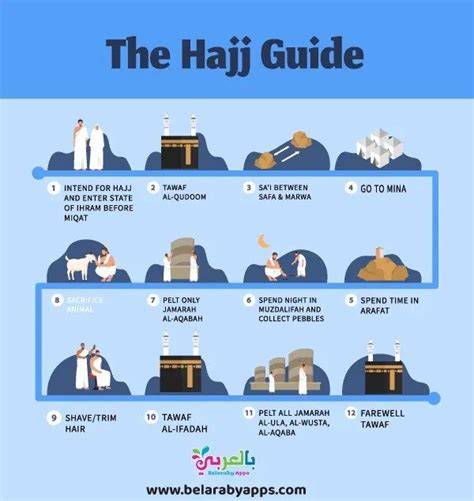 infographic_haj_Pfenta_egyensuly.png