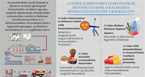 Infografika: pPD és allergénkockázat vizualizációja