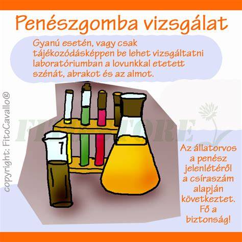 Infografika: Barnák árnyalatai és alaptónusok